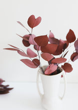 Load image into Gallery viewer, Preserved Burgundy Populus Silver Dollar Eucalyptus