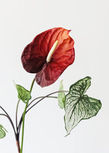 Load image into Gallery viewer, Green Cream Tropical Caladium Fake Leaf Plant - 19"