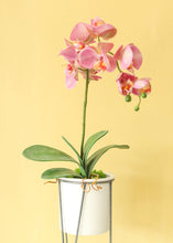 Load image into Gallery viewer, Artificial Phalaenopsis Orchid Leaves - 9"