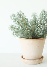 Load image into Gallery viewer, Fake Winter Evergreens Mini Frosted Pine Bush - 12"