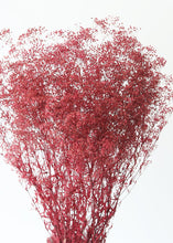 Load image into Gallery viewer, Preserved Stardust Gypsophila in Clay Red