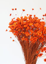 Load image into Gallery viewer, Orange Dried Star Flower