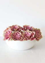 Load image into Gallery viewer, Mauve Pink Fake Echeveria Succulent - 5" Wide