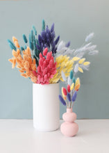 Load image into Gallery viewer, Blue Bunny Tail Dried Grass