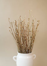 Load image into Gallery viewer, Mini Dried Poppy Pods - 12-24" Tall