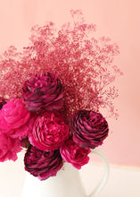Load image into Gallery viewer, Preserved Stardust Gypsophila in Clay Red