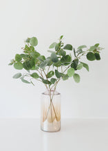 Load image into Gallery viewer, Fake Seeded Eucalyptus Leaf Branch - 36"