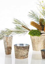 Load image into Gallery viewer, Birch Container with Zinc Interior