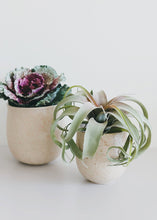Load image into Gallery viewer, Set of 2 - Blush Terrazzo Flower Pots