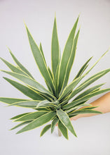 Load image into Gallery viewer, Artificial Variegated Yucca Fake Outdoor Plant - 28"