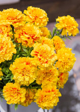 Load image into Gallery viewer, Artificial Marigold Bush - 13"
