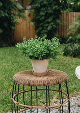 Load image into Gallery viewer, Smooth Washed Pink Terracotta Clay Planter - 5" Tall x 5.5" Wide with Drainage