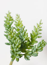 Load image into Gallery viewer, Soft Latex Burro's Tail Sedum Succulent - 7.5" Tall