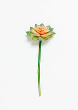 Load image into Gallery viewer, Soft Latex Echeveria Succulent in Green Mauve - 4" Wide