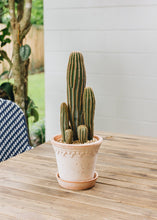 Load image into Gallery viewer, Pink Washed Terra Cotta Pot and Saucer - 6" Tall x 6.25" Wide with Drainage