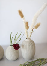 Load image into Gallery viewer, Natural Dried Bunny Tail - 2oz Bundle