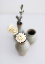 Load image into Gallery viewer, Set of 3 - Mini Glazed Stoneware Ceramic Bud Vases - 3-4" Tall