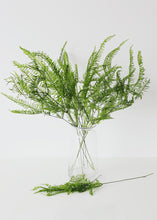 Load image into Gallery viewer, Natural Dried Fern Leaf Bundle