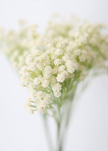 Load image into Gallery viewer, Real Touch Flowers Baby's Breath Bush in Beige Ivory