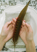 Load image into Gallery viewer, Pack of 10 - Real Ringneck Pheasant Feathers