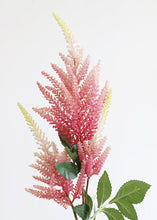 Load image into Gallery viewer, Dark Pink Coral Astilbe Fake Flowers - 34"