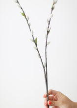 Load image into Gallery viewer, Artificial Pussy Willow Spray in Gray - 36"