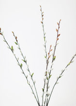 Load image into Gallery viewer, Artificial Pussy Willow Spray in Gray - 36"
