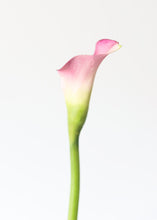 Load image into Gallery viewer, Pink Mauve Fake Flowers Foam Calla Lily
