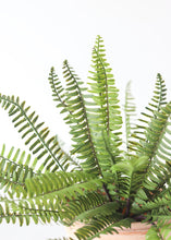 Load image into Gallery viewer, Fake Outdoor Plants Boston Fern Bush - 15"