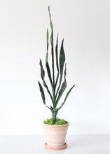 Load image into Gallery viewer, Fake Sansevieria Snake Plant - 35"