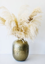 Load image into Gallery viewer, Pack of 6 - Textured Natural Tan Pampas Grass - 20-30"