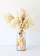 Load image into Gallery viewer, Pack of 6 - Textured Natural Tan Pampas Grass - 20-30"