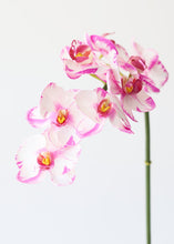 Load image into Gallery viewer, Real Touch Phalaenopsis Orchid in White and Purple