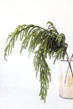 Load image into Gallery viewer, SALE - Real Touch Norfolk Pine Branch - 36" Tall