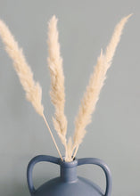 Load image into Gallery viewer, Pack of 6 - Smooth Natural Tan Pampas Grass - 25-29.5"