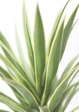Load image into Gallery viewer, Artificial Variegated Yucca Fake Outdoor Plant - 28"