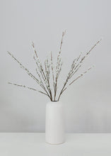 Load image into Gallery viewer, Gray Artificial Pussy Willow Branch 31"