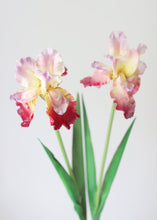 Load image into Gallery viewer, Fuchsia Real Touch Bearded Iris Flower - 32.5"