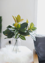 Load image into Gallery viewer, Artificial Magnolia Leaf Stem - 26" Tall