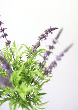 Load image into Gallery viewer, Indoor/Outdoor Lavender Wildflower Bush in Purple - 19"