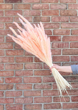 Load image into Gallery viewer, Pack of 6 - Smooth Pink Natural Pampas Grass - 25-29.5"