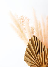 Load image into Gallery viewer, Pack of 6 - Smooth Pink Natural Pampas Grass - 25-29.5"