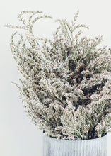 Load image into Gallery viewer, Dried German Statice
