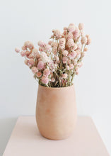 Load image into Gallery viewer, Air Dried Globe Amaranth in Light Pink