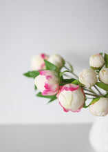 Load image into Gallery viewer, Cream Fuchsia Real Touch Fake Peony Bud Bundle