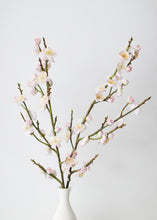 Load image into Gallery viewer, Blush Real Touch Fake Plum Blossom Flowers - 37"