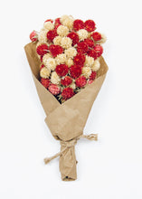Load image into Gallery viewer, Mini Globe Amaranth Dried Flower Bouquet in Red Cream - 10" Tall