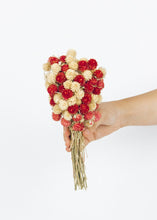 Load image into Gallery viewer, Mini Globe Amaranth Dried Flower Bouquet in Red Cream - 10" Tall