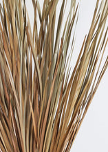 Load image into Gallery viewer, Natural Preserved Tall Wild Grass