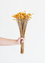 Load image into Gallery viewer, Golden Dried Floral Buttons